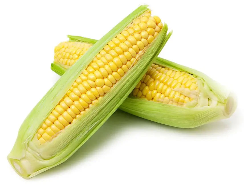 
                https://content.ardb.com.kh/images/65c53bb2ec94c54c4801762c6816f8f4/140_7d520b70b607635988a730493f126bf2b77af0ebf5a39c14072c7f3ac410e187.jpg
